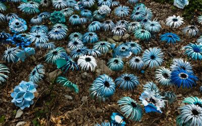 Foto Daniele/POI/Montalto-POI-107.jpg