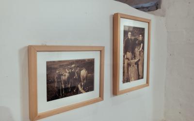 Foto Daniele/POI/Montalto-POI-115.jpg