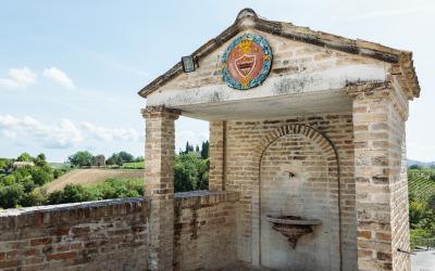 Foto Daniele/POI/Montalto-POI-161.jpg