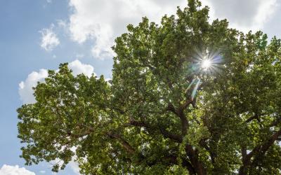 Foto Daniele/POI/Montalto-POI-171.jpg