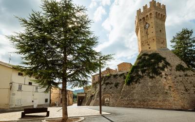 Foto Daniele/POI/Montalto-POI-193.jpg