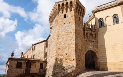 Foto Daniele/POI/Montalto-POI-203.jpg