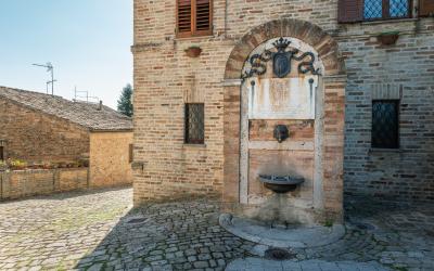 Foto Daniele/POI/Montalto-POI-23.jpg