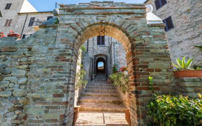 Foto Daniele/POI/Montalto-POI-26.jpg