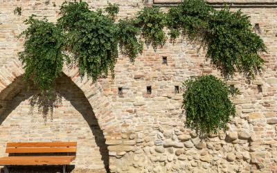 Foto Daniele/POI/Montalto-POI-34.jpg