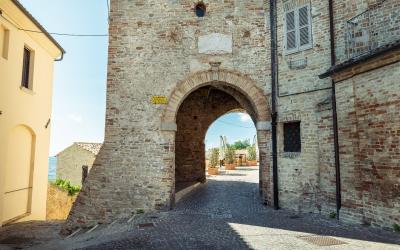 Foto Daniele/POI/Montalto-POI-37.jpg