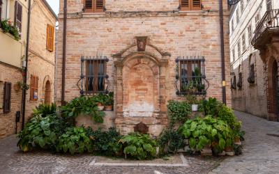 Foto Daniele/POI/Montalto-POI-56.jpg