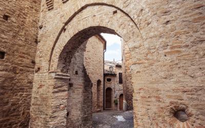 Foto Daniele/POI/Montalto-POI-62.jpg