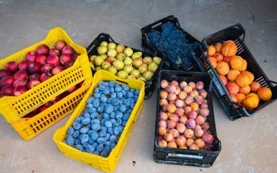 Foto Daniele/OPERATORI/Montalto 2 POI-19.jpg