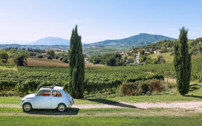 Foto Daniele/OPERATORI/Montalto-operatori-48.jpg