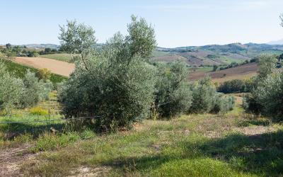 Foto Daniele/OPERATORI/Montalto-operatori-65 (1).jpg