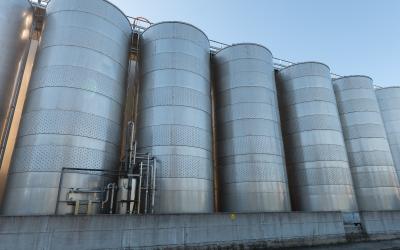 Foto Daniele/OPERATORI/Montalto-operatori-77.jpg