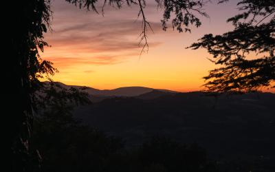 Foto Daniele/EXTRA/Montalto-Extra-12.jpg