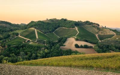 Foto Daniele/EXTRA/Montalto-Extra-14.jpg