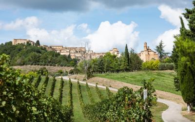 Foto Daniele/EXTRA/Montalto-Extra-2.jpg