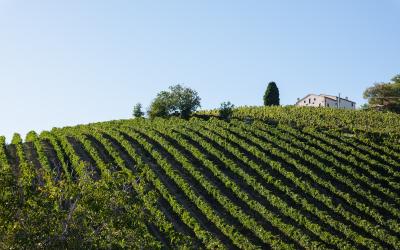 Foto Daniele/EXTRA/Montalto-Extra-6.jpg