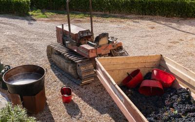 Foto Daniele/EXTRA/Montalto-Extra-8.jpg