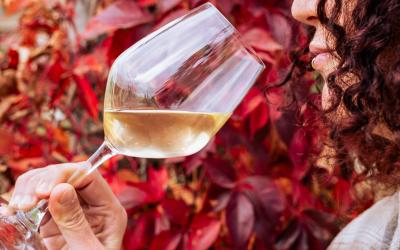 Foto Daniele/OLIO e VINO/Montalto 2 POI-15.jpg