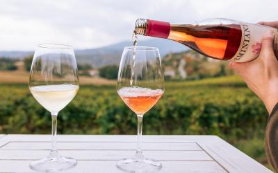 Foto Daniele/OLIO e VINO/Montalto 2 POI.jpg