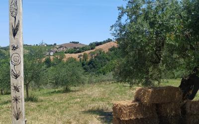 L'Orto dei Noci