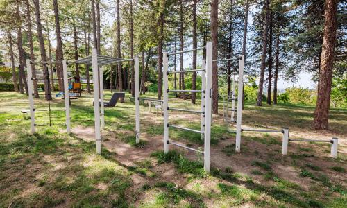 La pineta comunale A. Mori