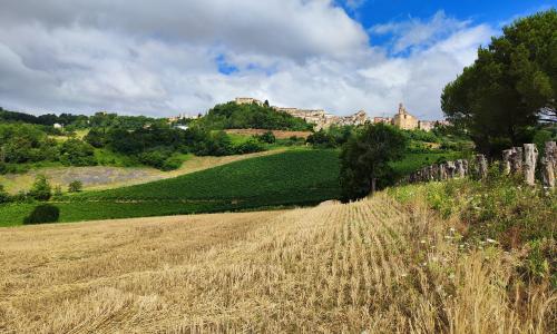 Porchia: la chiesa nascosta, la rocca e i suoi sapori