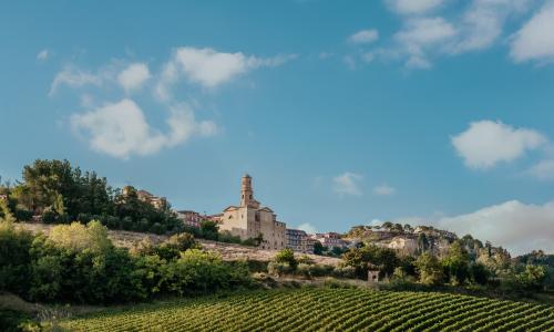 Authentic Piceno, between villages and nature: trekking on foot