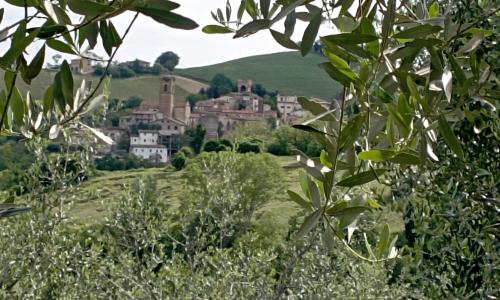 L'Orto dei Noci