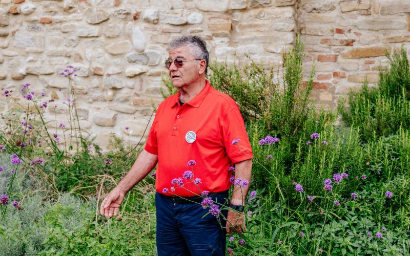 Foto Francesca/Montalto_Metroborgo delle Marche 2025 HI-112.jpg