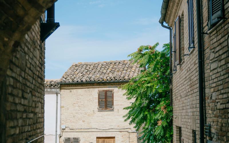 Foto Francesca/Montalto_Metroborgo delle Marche 2025 HI-14.jpg