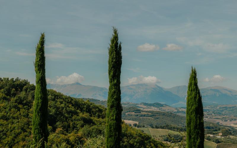 Foto Francesca/Montalto_Metroborgo delle Marche 2025 HI-207.jpg