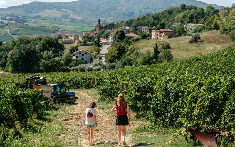 Foto Francesca/Montalto_Metroborgo delle Marche 2025 HI-212.jpg