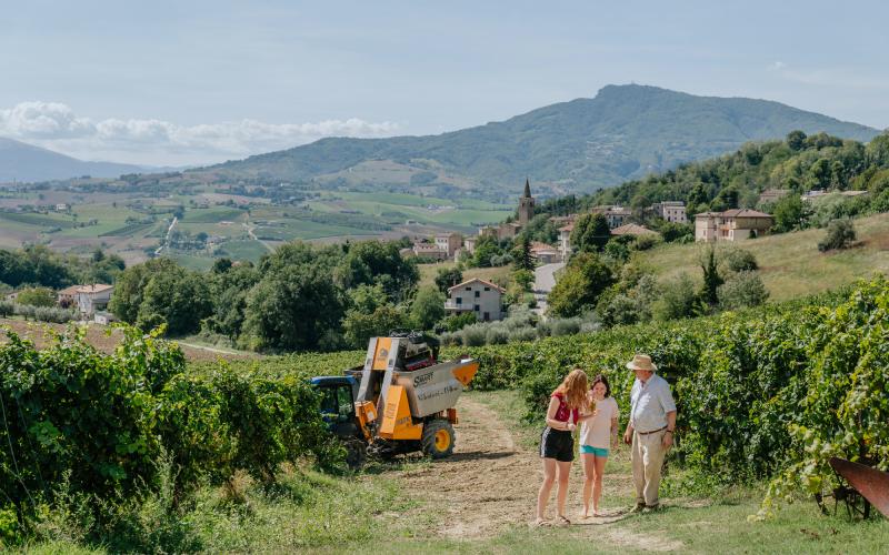 Foto Francesca/Montalto_Metroborgo delle Marche 2025 HI-219.jpg