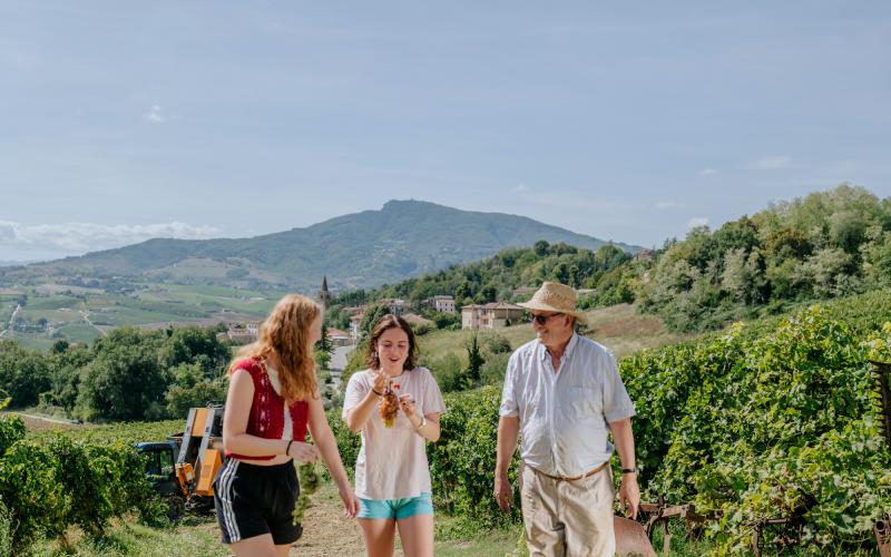 Foto Francesca/Montalto_Metroborgo delle Marche 2025 HI-226.jpg