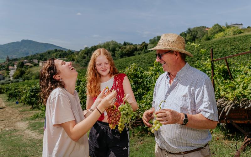 Foto Francesca/Montalto_Metroborgo delle Marche 2025 HI-233.jpg