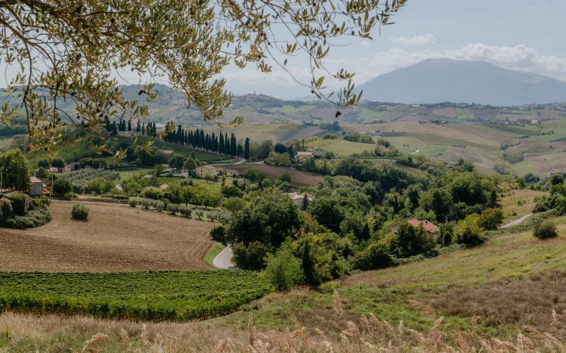 Foto Francesca/Montalto_Metroborgo delle Marche 2025 HI-255.jpg