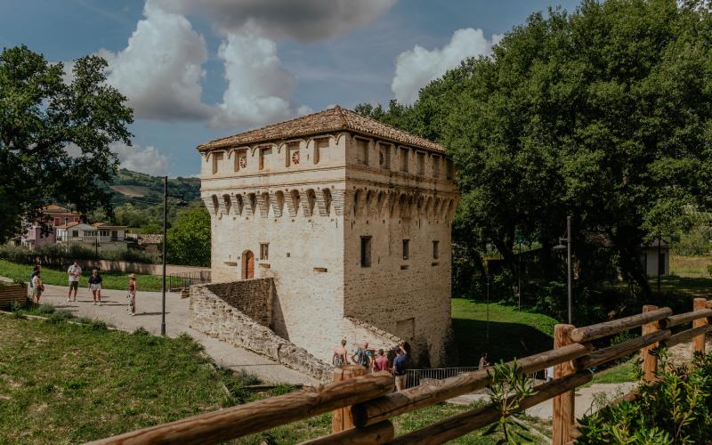 Foto Francesca/Montalto_Metroborgo delle Marche 2025 HI-257.jpg