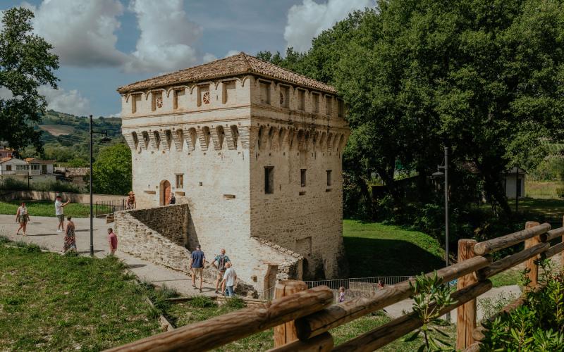 Foto Francesca/Montalto_Metroborgo delle Marche 2025 HI-258.jpg