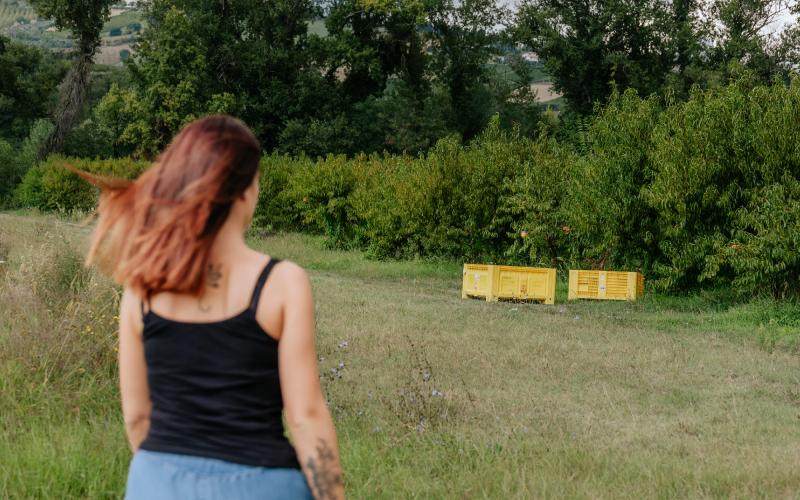 Foto Francesca/Montalto_Metroborgo delle Marche 2025 HI-293.jpg