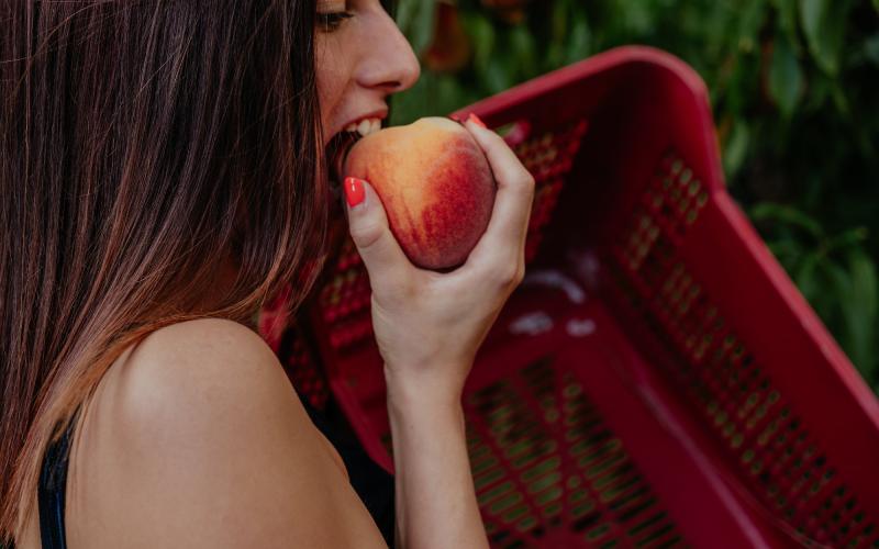 Foto Francesca/Montalto_Metroborgo delle Marche 2025 HI-307.jpg