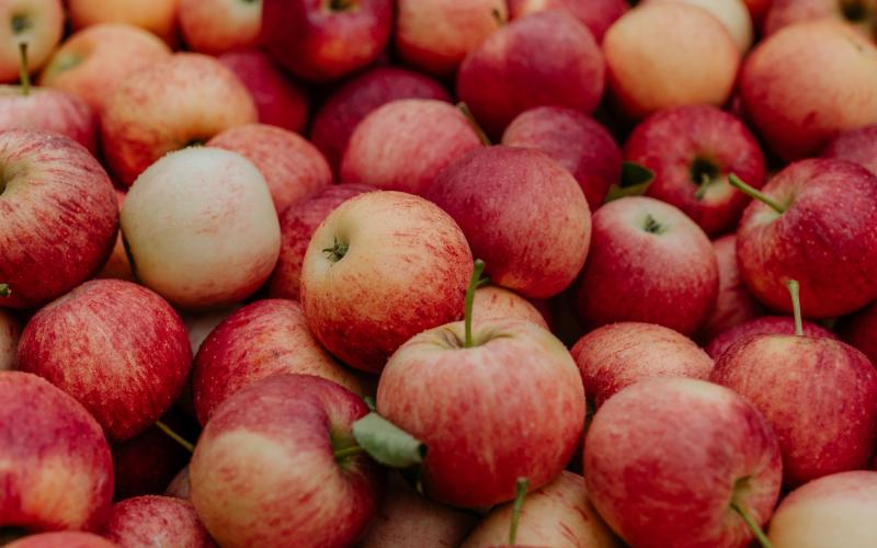 Foto Francesca/Montalto_Metroborgo delle Marche 2025 HI-317.jpg