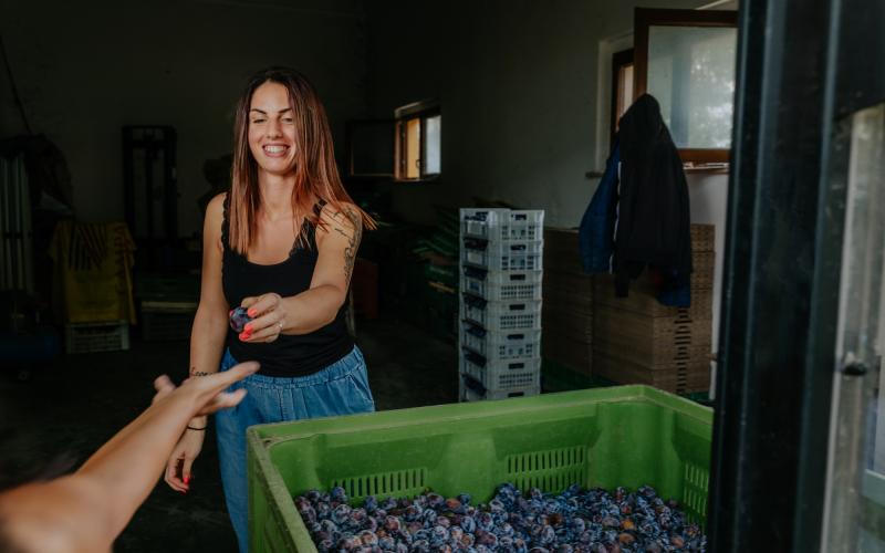 Foto Francesca/Montalto_Metroborgo delle Marche 2025 HI-325.jpg