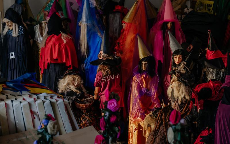 Foto Francesca/Montalto_Metroborgo delle Marche 2025 HI-335.jpg