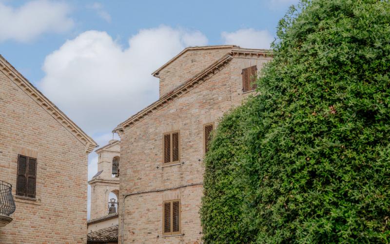 Foto Francesca/Montalto_Metroborgo delle Marche 2025 HI-364.jpg