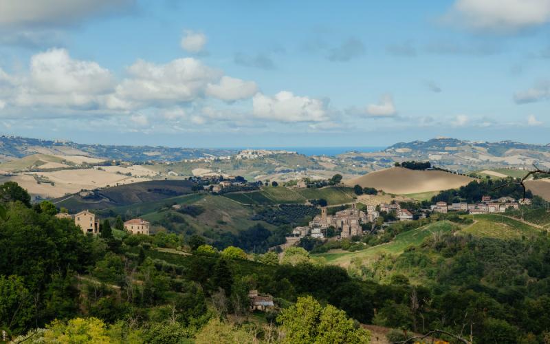 Foto Francesca/Montalto_Metroborgo delle Marche 2025 HI-371.jpg