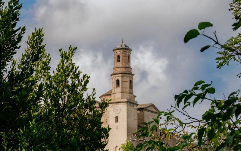 Foto Francesca/Montalto_Metroborgo delle Marche 2025 HI-373.jpg