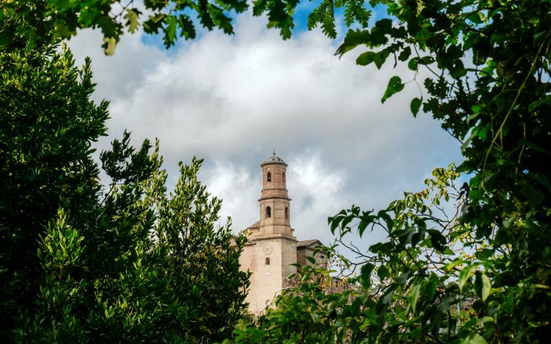 Foto Francesca/Montalto_Metroborgo delle Marche 2025 HI-374.jpg