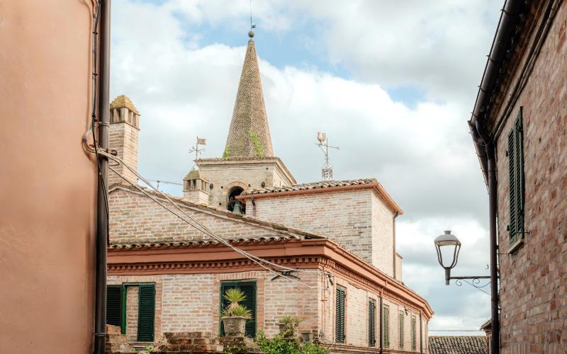 Foto Francesca/Montalto_Metroborgo delle Marche 2025 HI-375.jpg