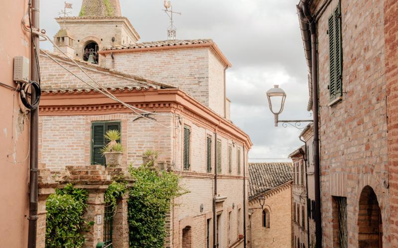 Foto Francesca/Montalto_Metroborgo delle Marche 2025 HI-376.jpg