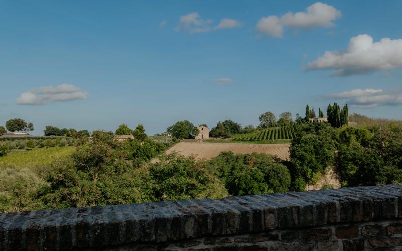 Foto Francesca/Montalto_Metroborgo delle Marche 2025 HI-388.jpg